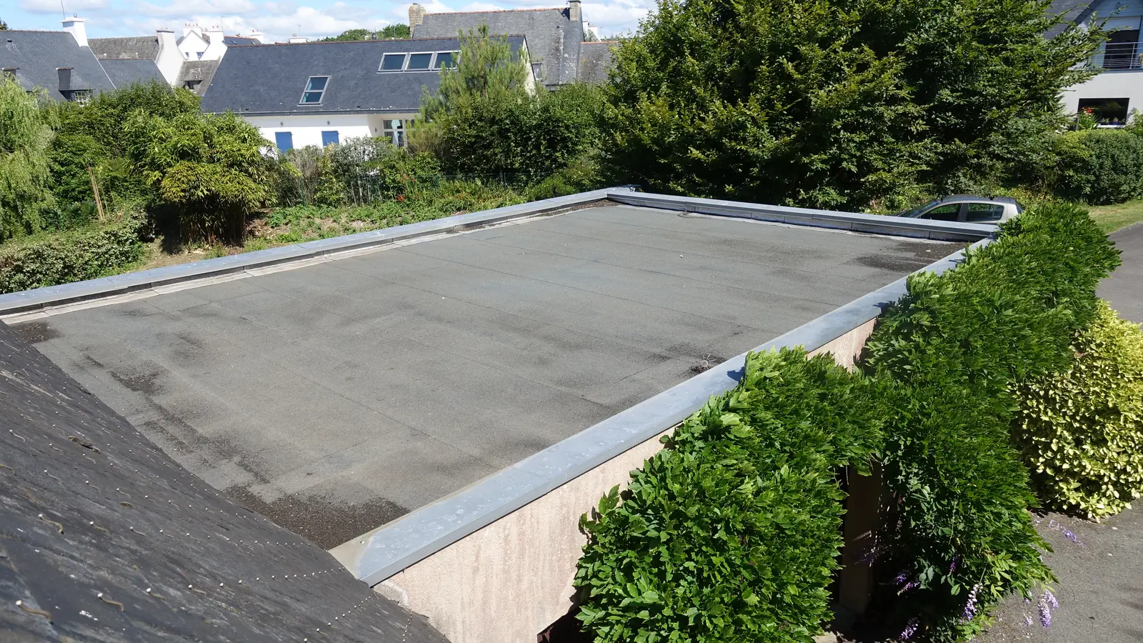Felt flat roof on a garage beside a hedge